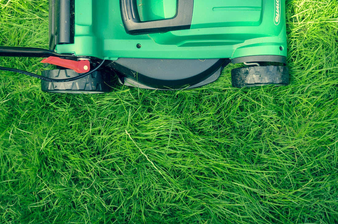 Should You Mow Before Weed and Feed?