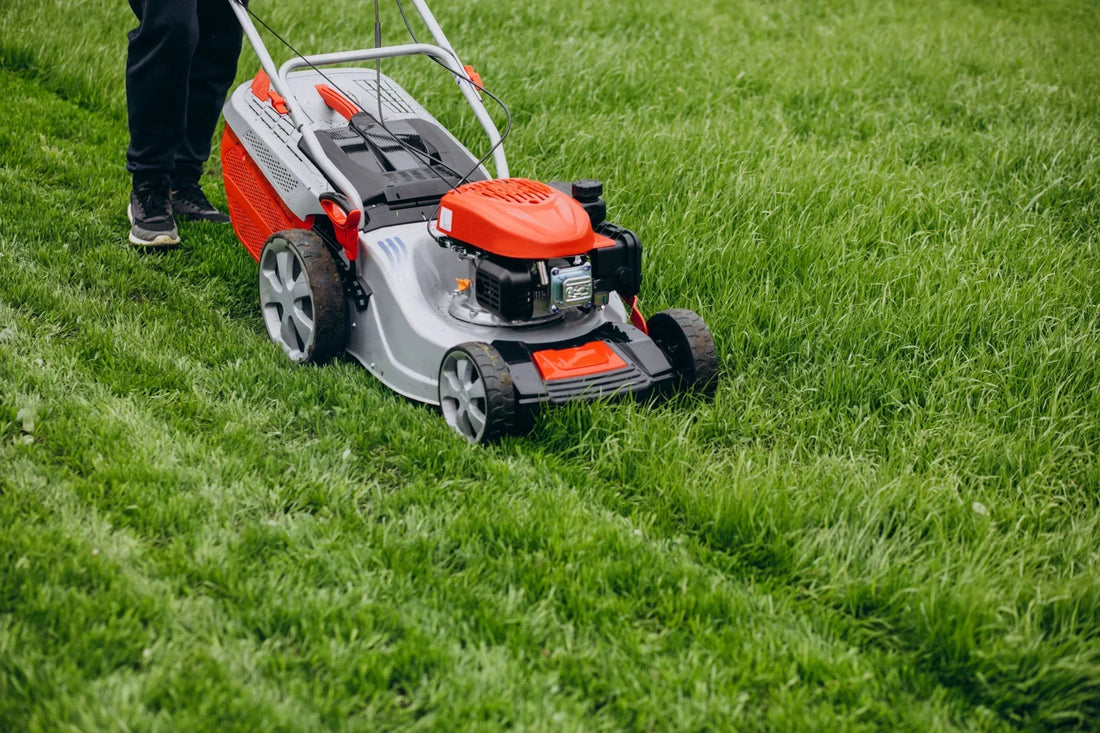 What is the Best Time of Year to Buy a Lawn Mower?
